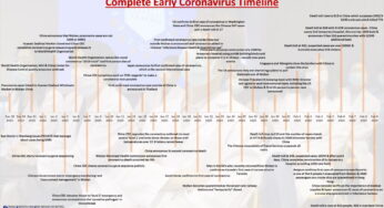 A Story of Action: The Complete Early Coronavirus Timeline