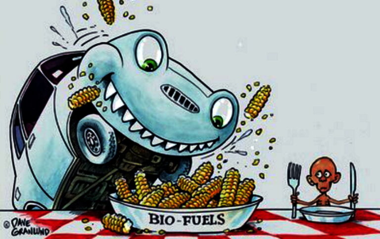 Whats Wrong with Biofuels?