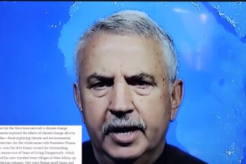 thomas friedman - woke green energy